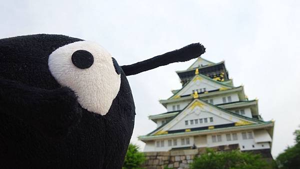 DAY002 (2).JPG DAY002 (2).JPG