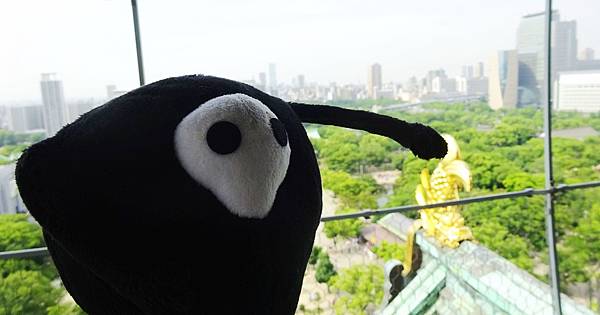 DAY002 (3).JPG DAY002 (3).JPG