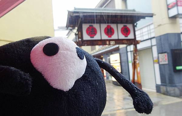 DAY003 (5).JPG DAY003 (5).JPG