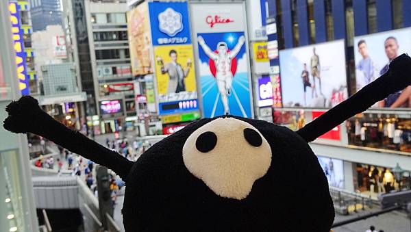 DAY003 (6).JPG DAY003 (6).JPG