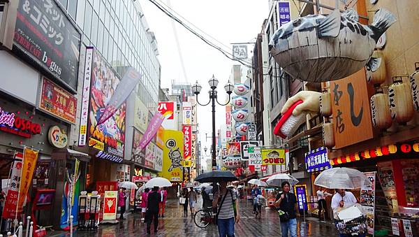 DAY003 (7).JPG DAY003 (7).JPG