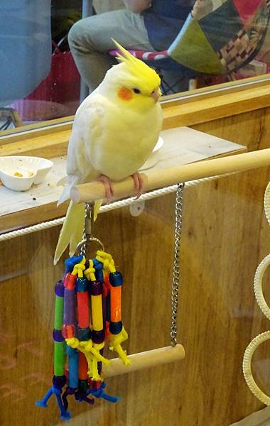 DAY003 (14).JPG DAY003 (14).JPG