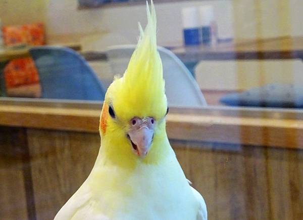 DAY003 (15).JPG DAY003 (15).JPG