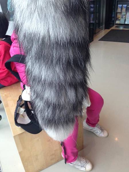 1888528_1124298250917718_6600133640107323606_n 1888528_1124298250917718_6600133640107323606_n