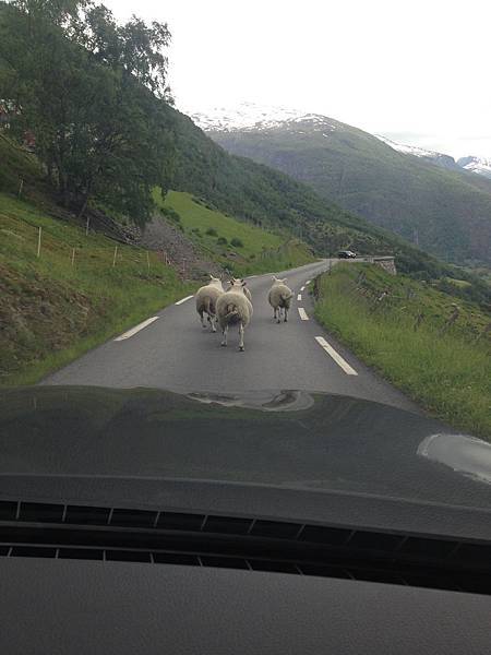 IMG_9997.jpg IMG_9997.jpg