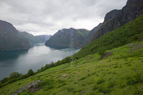 L1003721.jpg L1003721.jpg