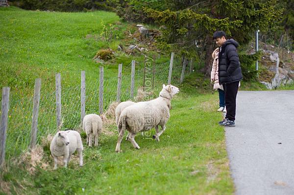 L1005910.jpg L1005910.jpg