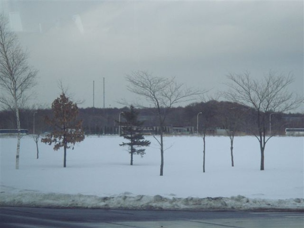 沿途雪景處處