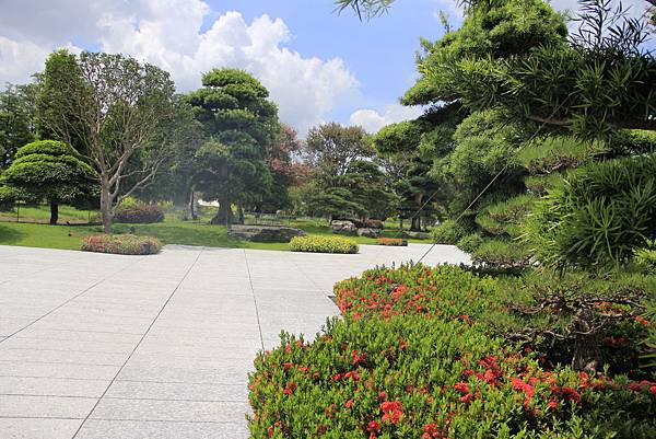 _MG_2131.JPG _MG_2131.JPG