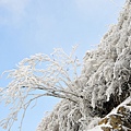 還是雪