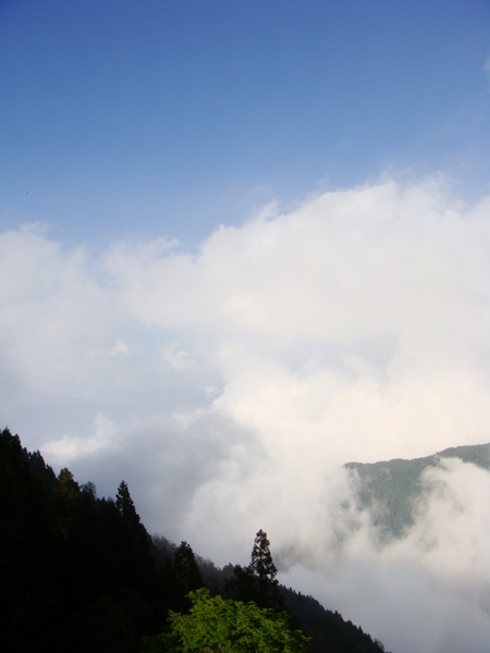 玉山春山雲海