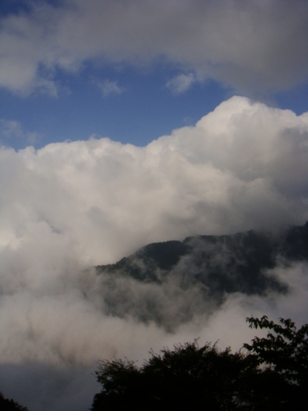 玉山春山雲海