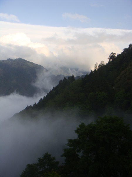 玉山春山雲海