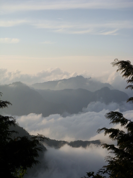 近塔塔加登山口路旁雲海