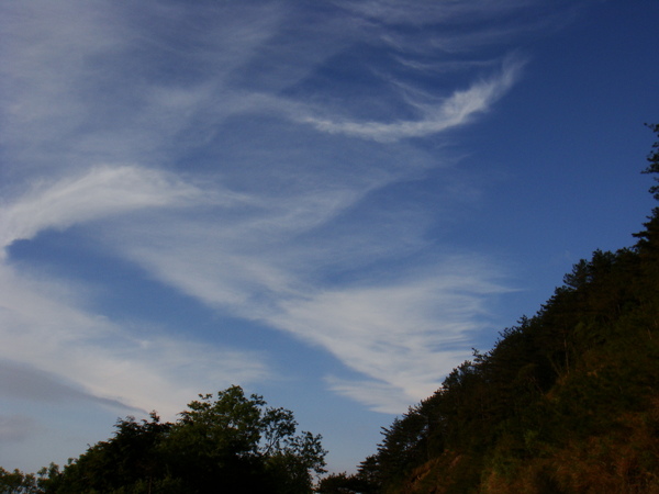 近塔塔加登山口路旁天空