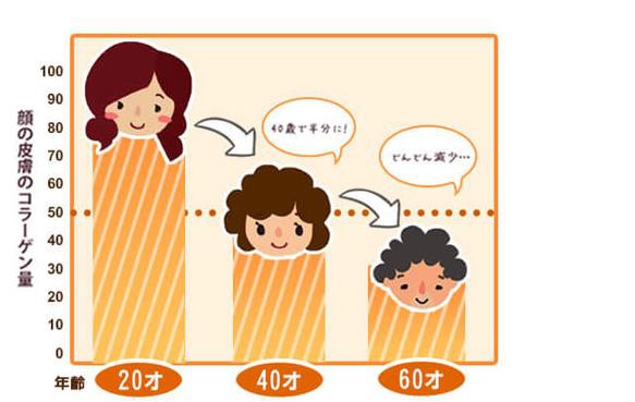 試用