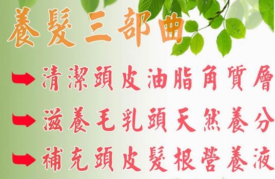 試用