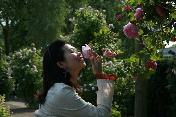 "就是所羅門極榮華的時候, 他所穿戴的, 還不如這花一朵" 小馬碎碎唸