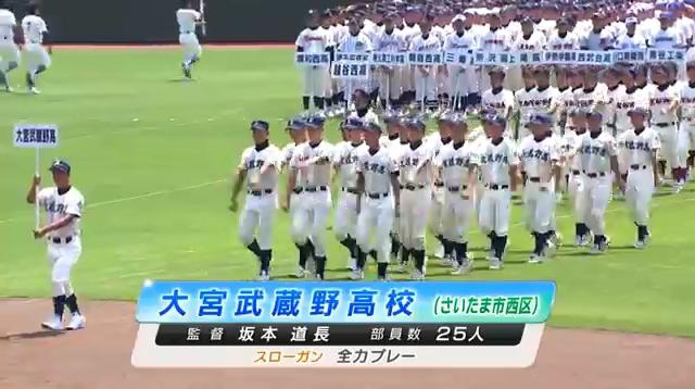 第95回(2013)全国高校野球選手権埼玉大会開会式_00002509.jpg