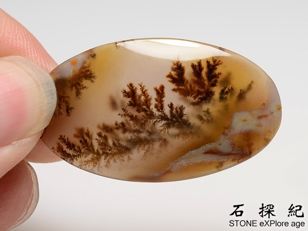 Agate-23b Agate-23b