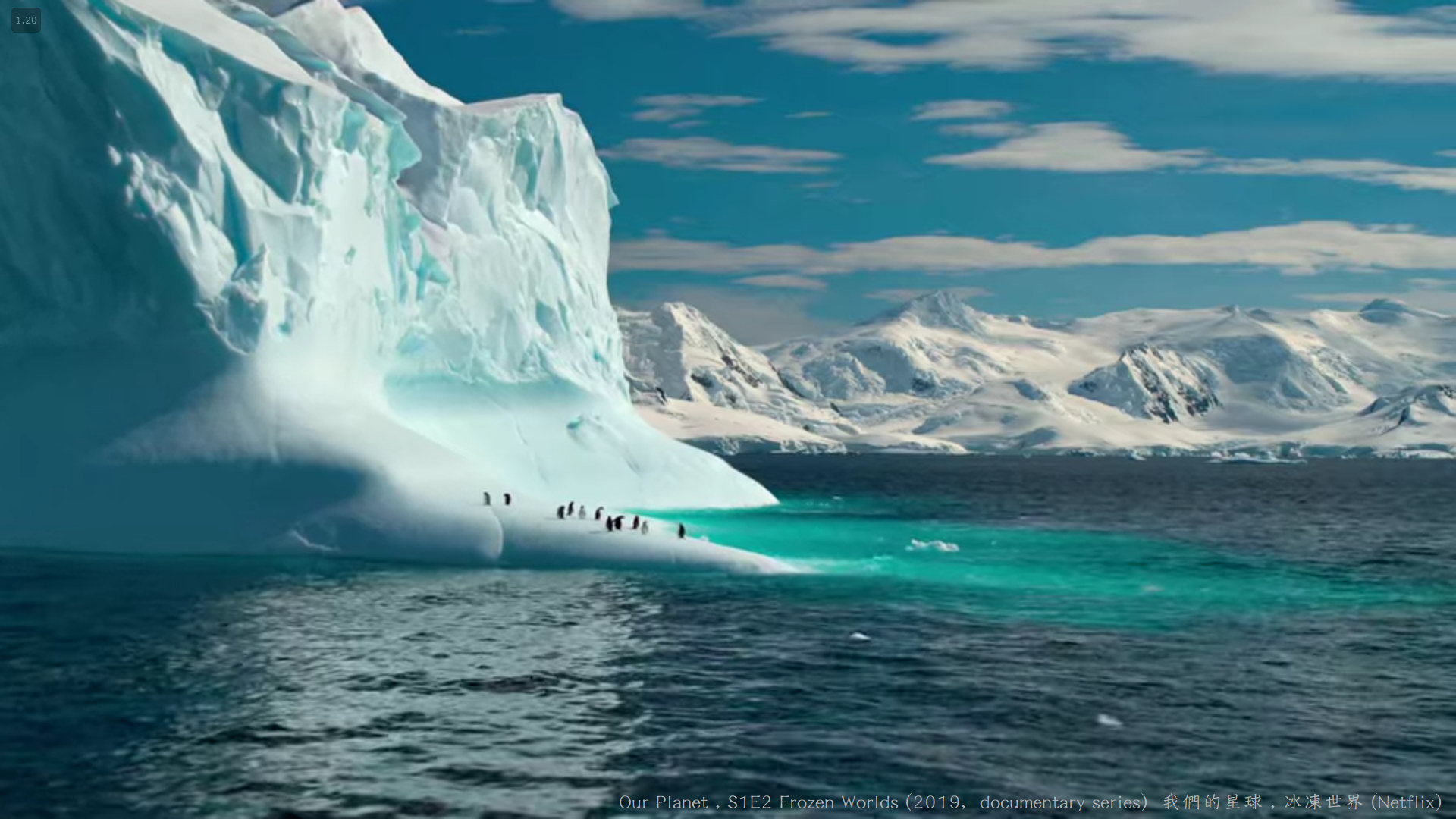 我們的星球 (Our Planet , 2019紀錄片) S1E2 冰凍世界 Frozen Worlds 007---.jpg 我們的星球 (Our Planet , 2019紀錄片) S1E2 冰凍世界 Frozen Worlds 007---.jpg