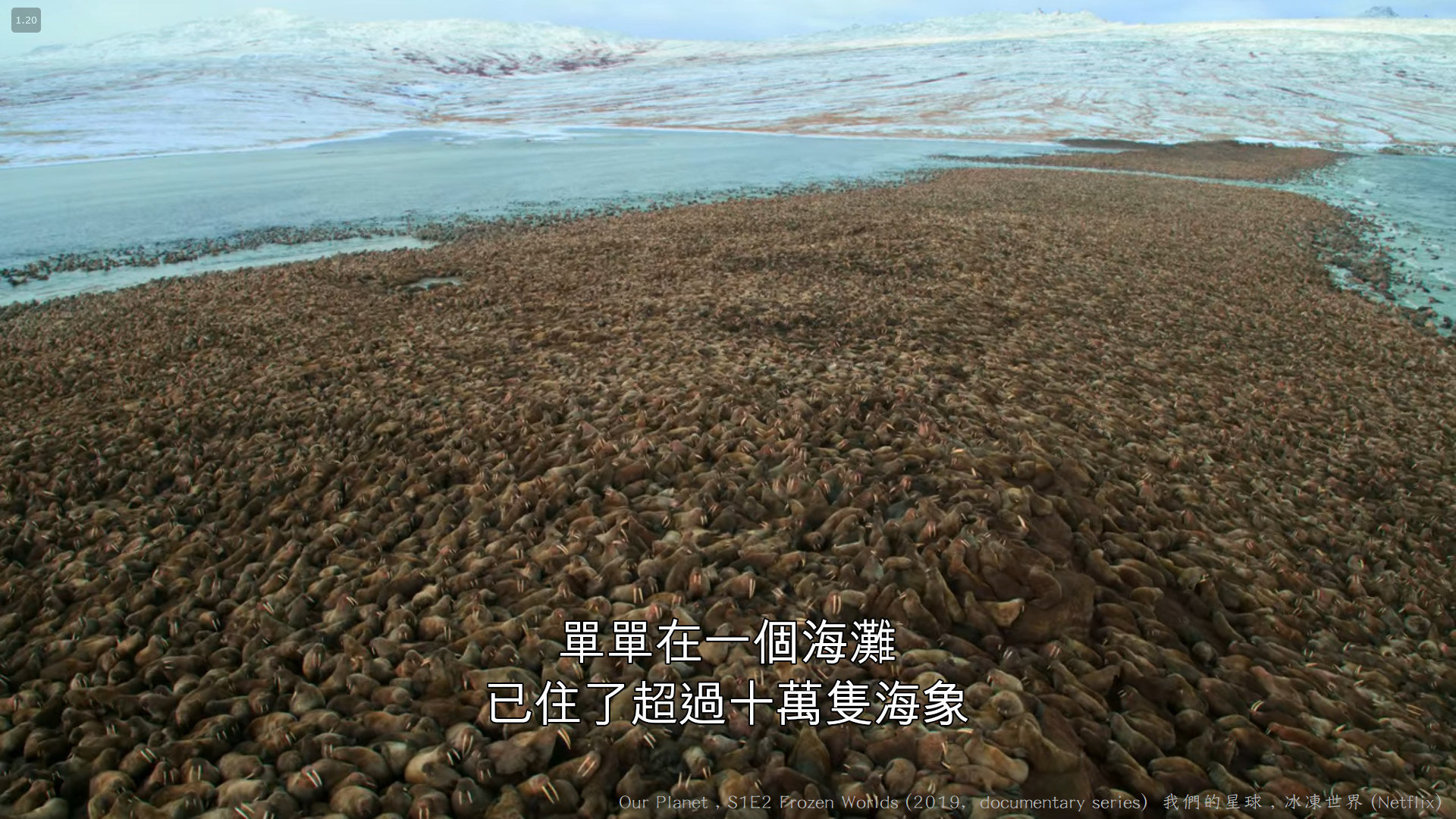 我們的星球 (Our Planet , 2019紀錄片) S1E2 冰凍世界 Frozen Worlds 143----.jpg