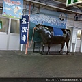58.回東京路上經過米澤,米澤牛很有名.jpg