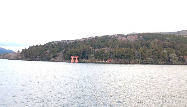 47.蘆之湖畔箱根神社鳥居.jpg