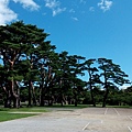 07.五稜郭公園走走.jpg