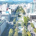 11.札幌電視塔上看大通公園.jpg