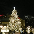 035.惠比壽花園廣場的聖誕樹.jpg