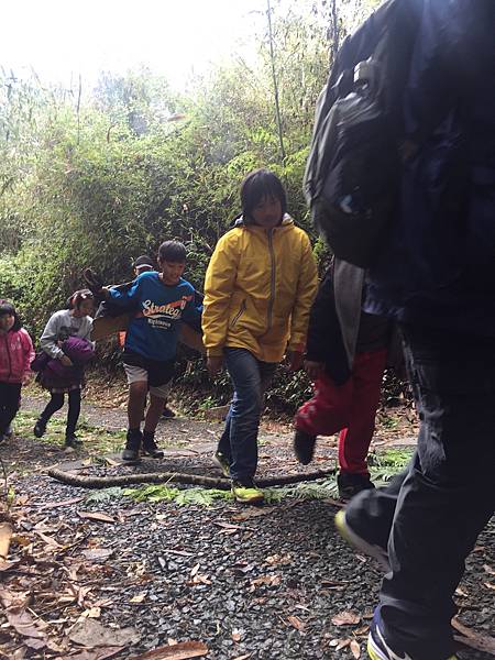 正式地踏入這片山林