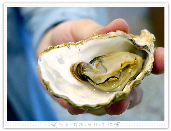 P4930840 P4930840