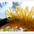 P5520558