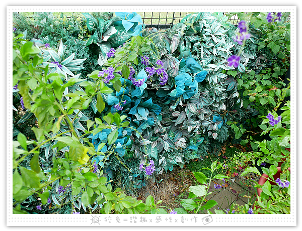 P1250256.png P1250256.png