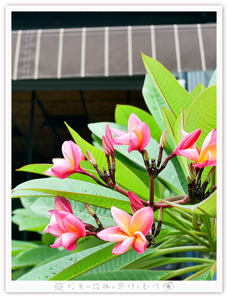 P1250277.png P1250277.png