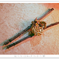 P1900645.png