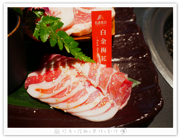 P1910641.png