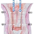 增粗模擬圖.jpg