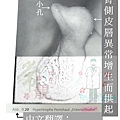 引用-海豚.jpg
