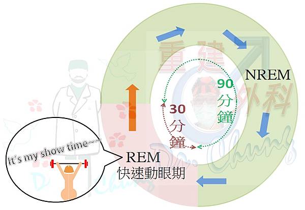 男性重建手術的復健概念(The rehabilitation