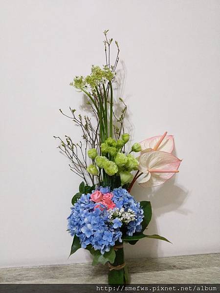IMAG0385.jpg IMAG0385.jpg