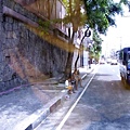 025_20090628.jpg
