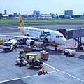 032_20090628.jpg