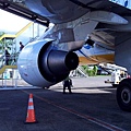 036_20090628.jpg