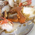 058_20090628.jpg