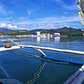 072_20090629.jpg