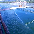 073_20090629.jpg