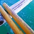 074_20090629.jpg