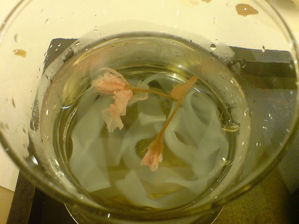 DSC05431.JPG